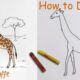 The Art of Drawing Giraffes: A Comprehensive Guide