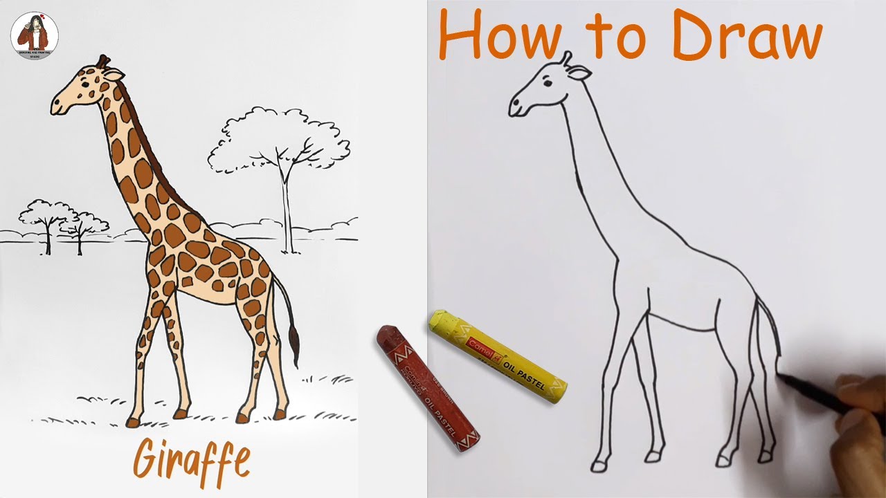 The Art of Drawing Giraffes: A Comprehensive Guide