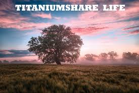 TitaniumShare.life: Your Gateway to Secure File Sharing