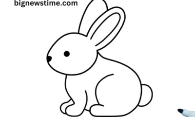 drawing:3byvh5-pf8m= rabbit