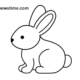 drawing:3byvh5-pf8m= rabbit